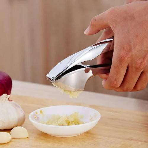 Stainless Steel Garlic Press
