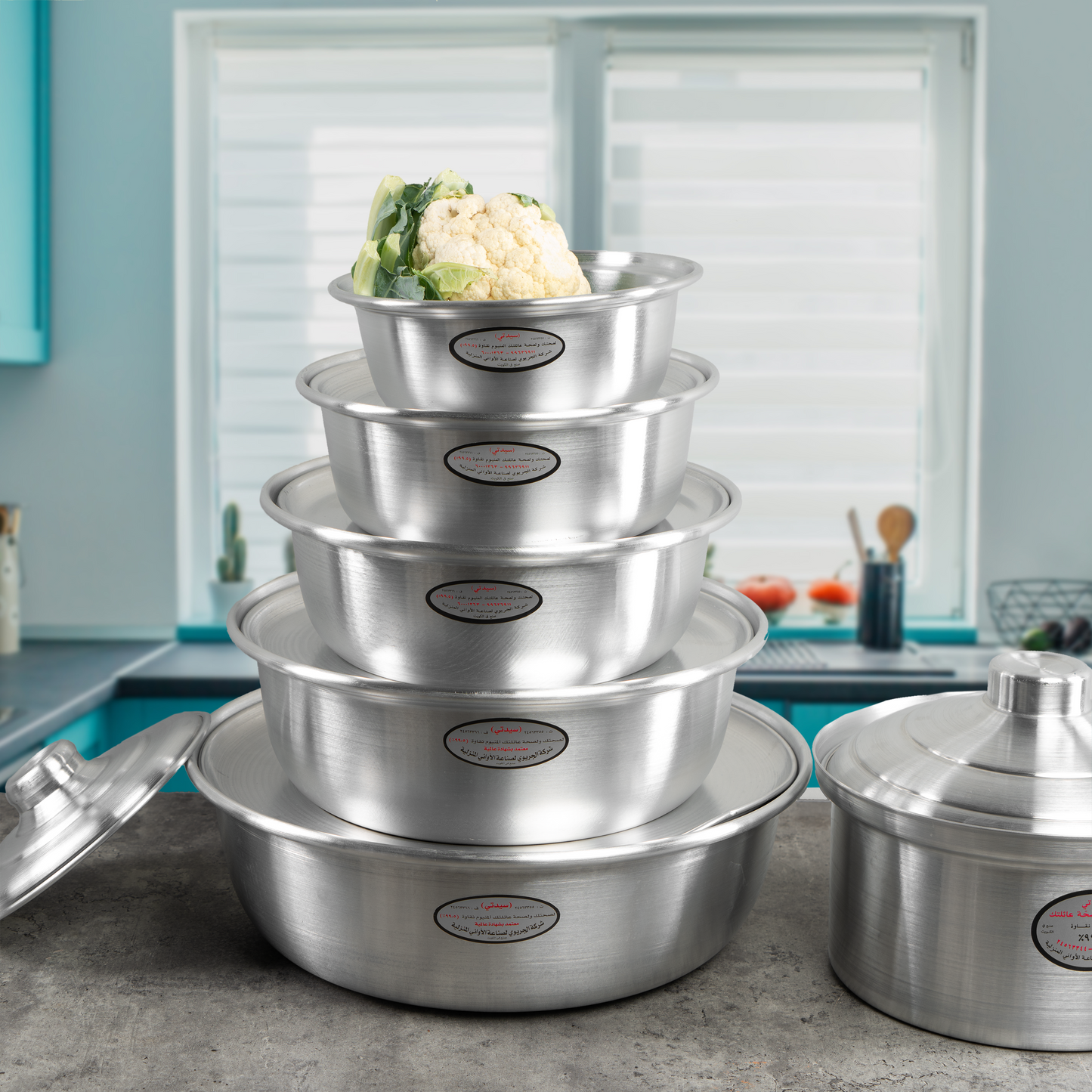 Aljeraiwi Aluminum Bowl with Lid