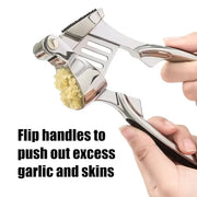 Stainless Steel Garlic Press ALJERAIWI