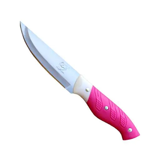 Stainless Steel Kitchen Knife 4 Inch ALJERAIWI