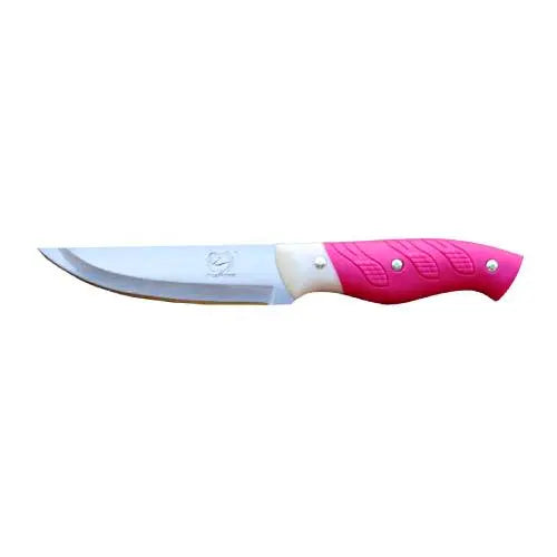 Stainless Steel Kitchen Knife 4 Inch ALJERAIWI