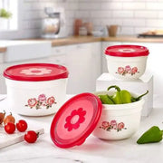 Food Container 3 Litre ALJERAIWI