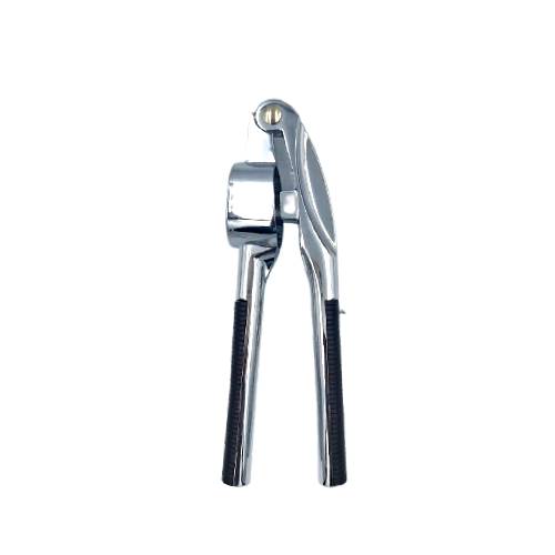 Stainless Steel Garlic Press