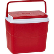 20L KeepCold Picnic Icebox ALJERAIWI