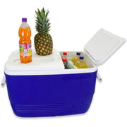 60L Icebox ALJERAIWI