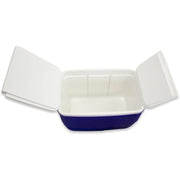 60L Icebox ALJERAIWI